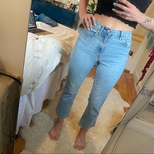 Everlane Cropped Cheeky Bootcut Jeans